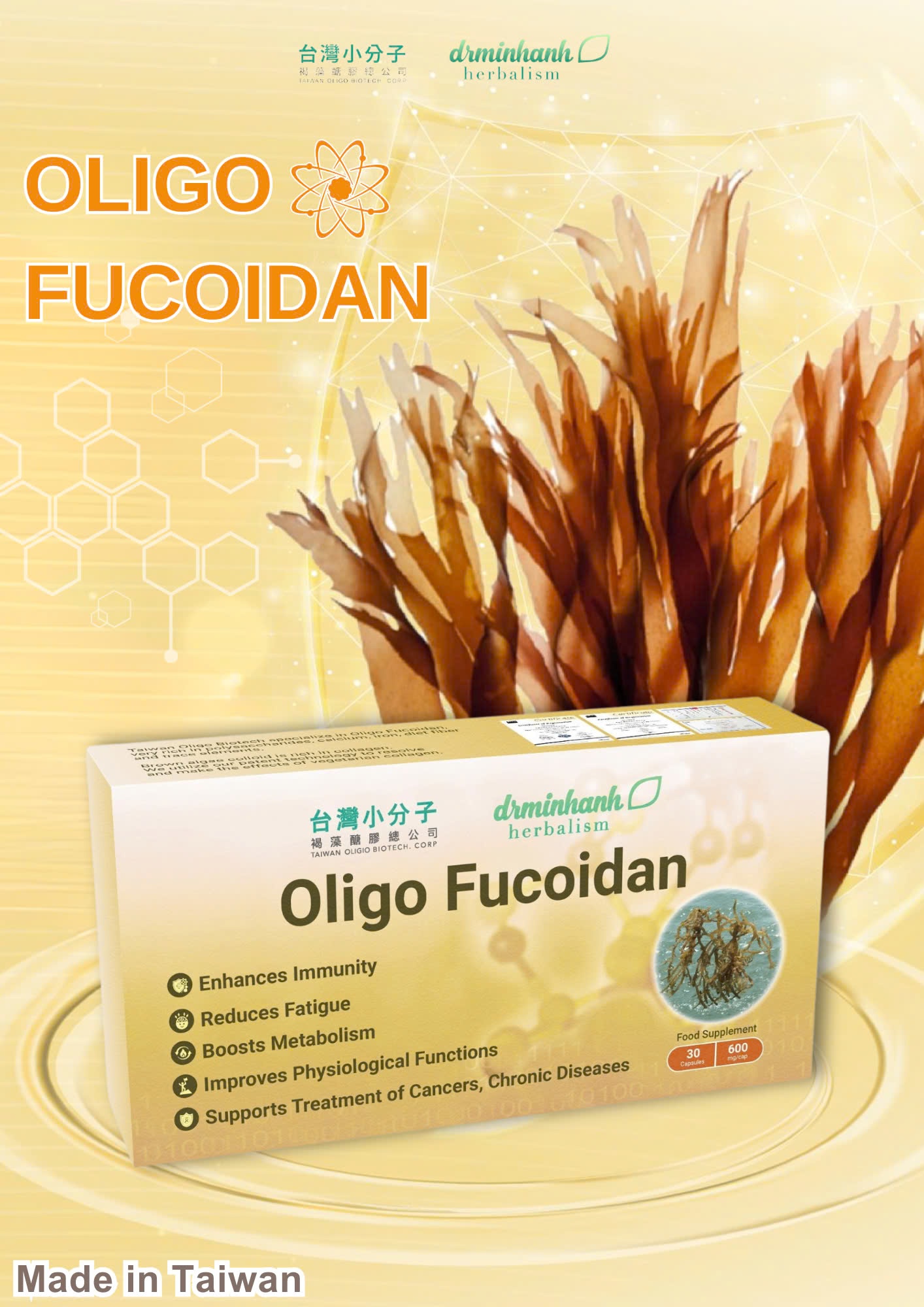 Oligo Fucoidan